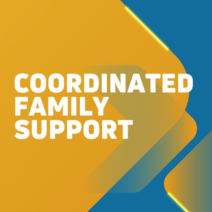What is the Coordinated Family Supports Service?